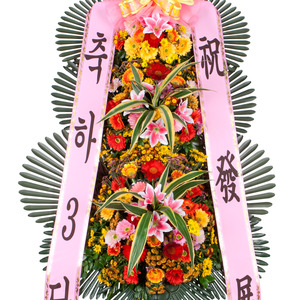 축하3단 기본4