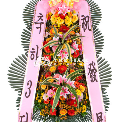 축하3단 기본4