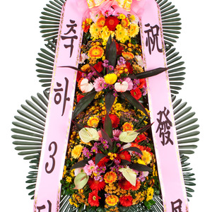 축하3단 기본3