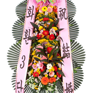 축하3단 기본2
