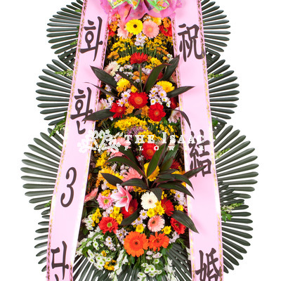 축하3단 기본2