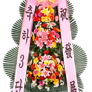 축하3단 기본1