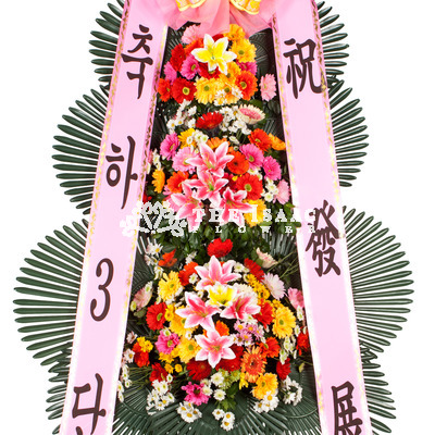 축하3단 기본1