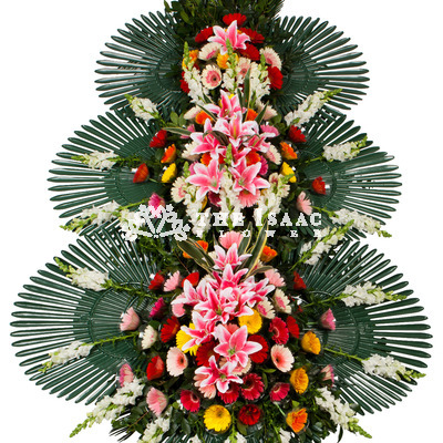 축하합니다~