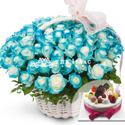 파란장미100송이+케잌 a831