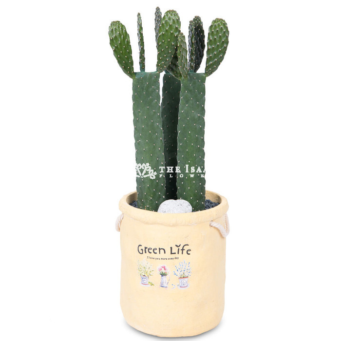 상세이미지