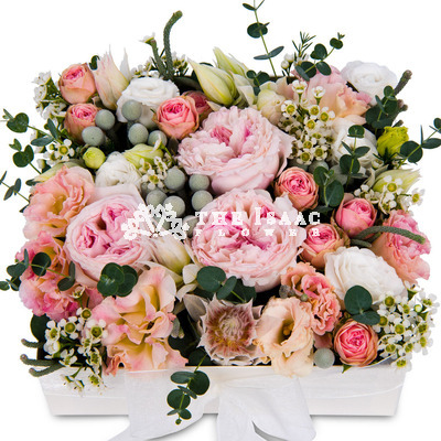 꽃상자 c762★MD추천★