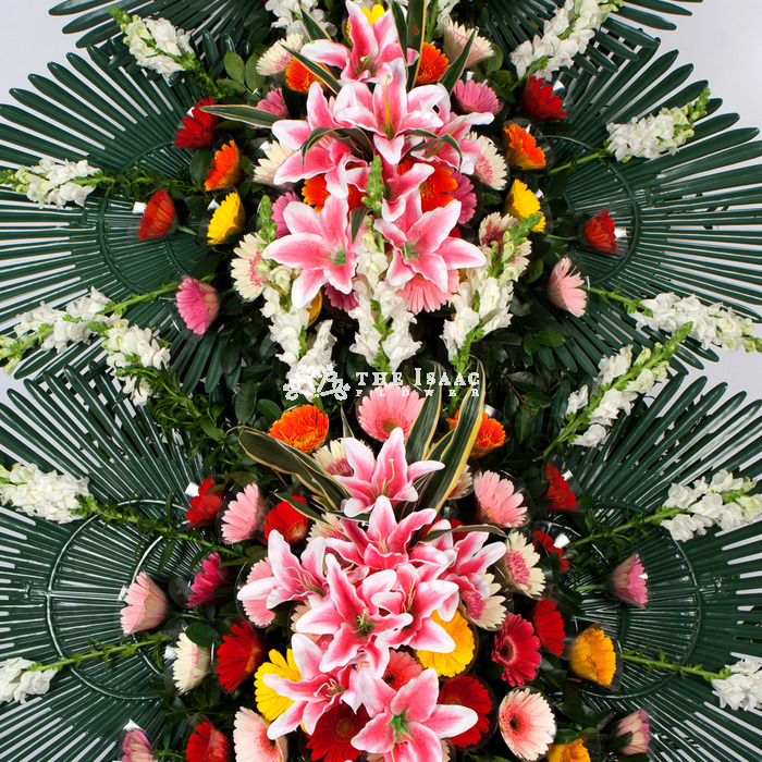 상세이미지