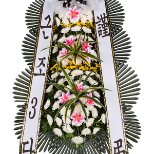 조문화환기본★인기상품★