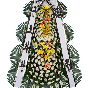 조문화환(고급))