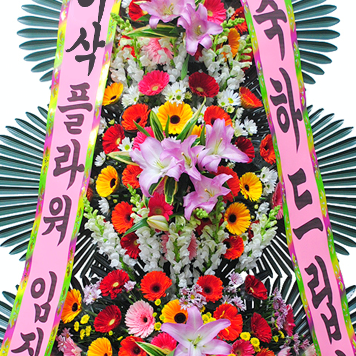 상세이미지