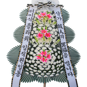 조문화환005