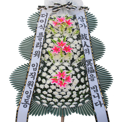 조문화환005