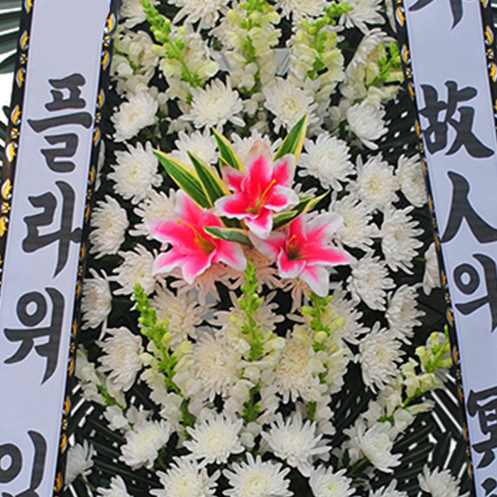 상세이미지