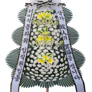 조문화환0025