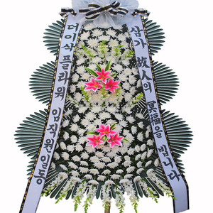 조문화환003
