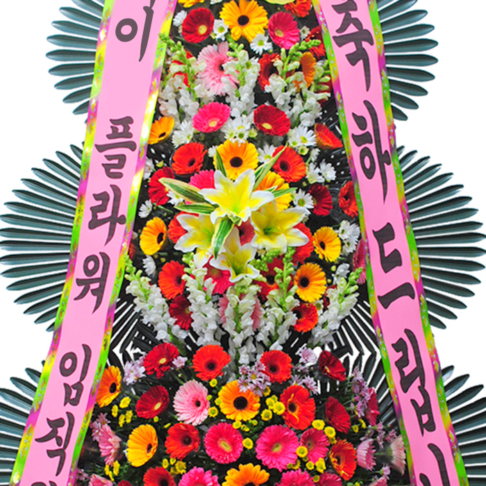 상세이미지