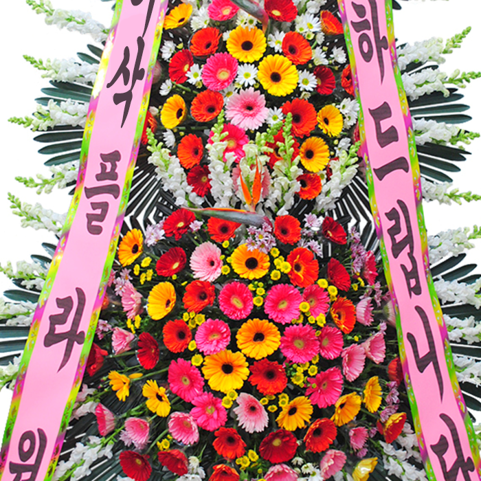 상세이미지