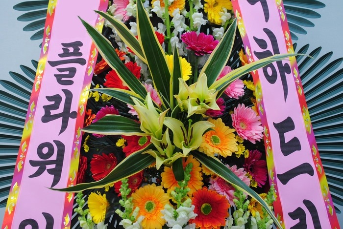 상세이미지