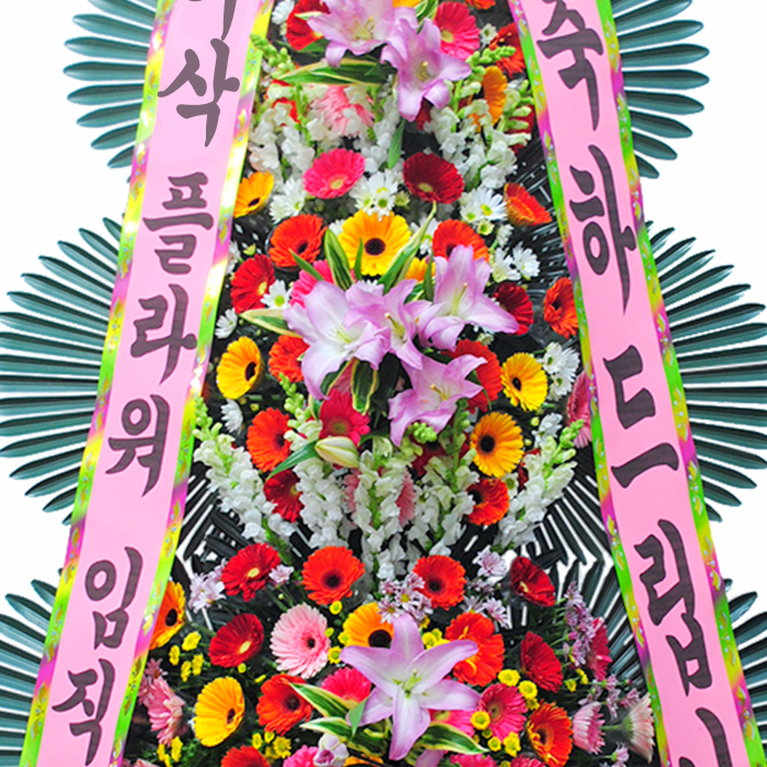상세이미지