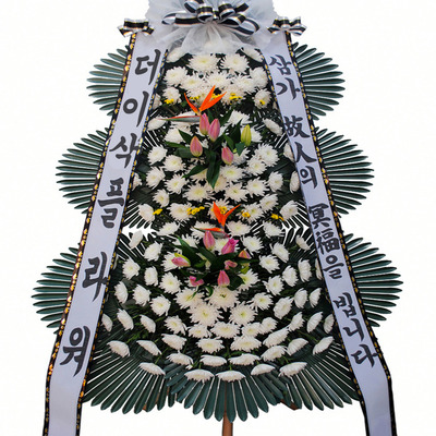 조문화환003