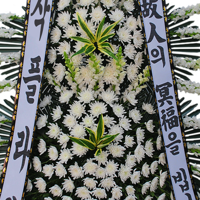 상세이미지
