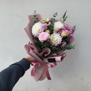 Dahlia (델리아)