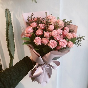 Jana (자나)_미니장미