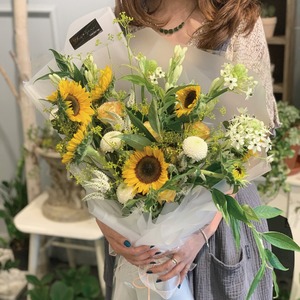 Vanessa (바네사)