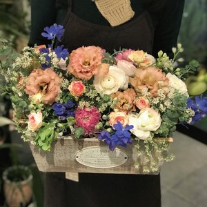 Fabiana (파비아나)