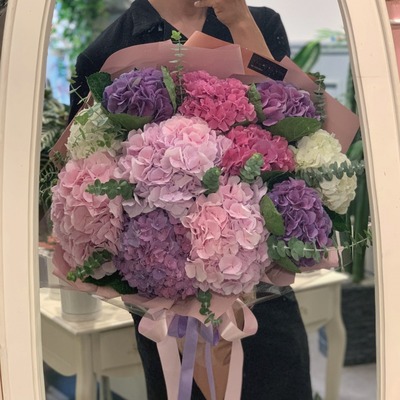 자이언트수국 (Giant hydrangea)