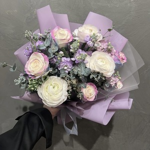 오로라 & 하노이