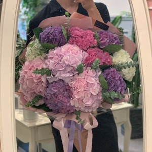 자이언트수국 (Giant hydrangea)