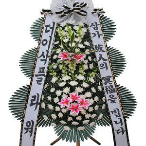 조문화환003