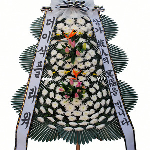 조문화환003