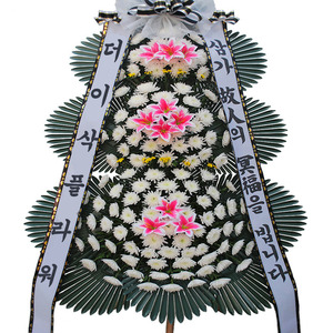 조문화환002